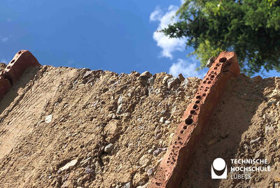 Integrierte Tonelemente: das neue Zuhause für Bienen und Insekten. Foto: TH Lübeck