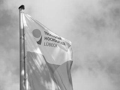 Ausgegrautes Bild zeigt TH Lübeck Flagge