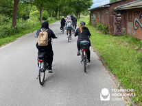 Studierende auf Fahrrädern zwischen Allee und Häusern