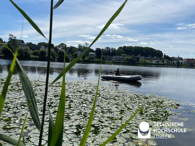 Blick vom Ufer durch den Schilfgürtel auf ein Schlauchboot in der Mitte des Herrenteiches