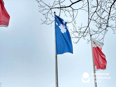 Bild zeigt gehisste Friedensflagge und TH Lübeck Flagge