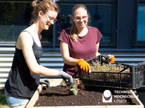 Hörakustikstudentinnen Anna-Maria Weidner (rechts) und Meike Simson bepflanzen die Messcontainer. Foto: TH Lübeck