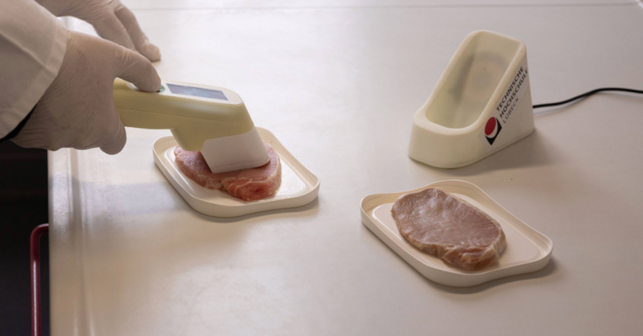 Ein Handsensor testet Fleisch