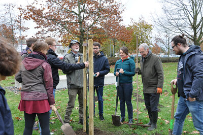 Der Baum steht – jetzt nur noch die Sicherung. Foto: TH Lübeck