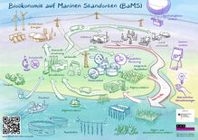 Die strategische BaMS Roadmap verbindet die verschiedenen Elemente der blauen Bioökonomie zu einer aquatischen Kreislaufwirtschaft. Grafik: Christian Ridder, www.business-as-visual.com