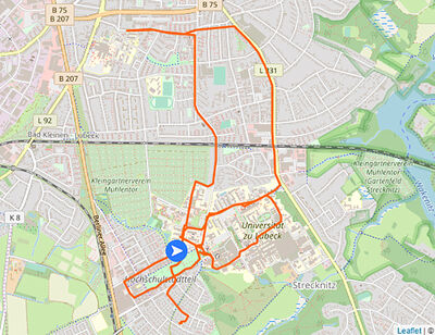 Staffelstab-Visualisierungskarte des CoSA-Trainingslaufs mit markierter Trainingslaufstrecke. Grafik: CoSA