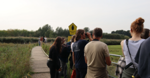 Die Gruppe blickt mit Ferngläsern und Spektiv auf den Schellbruch.