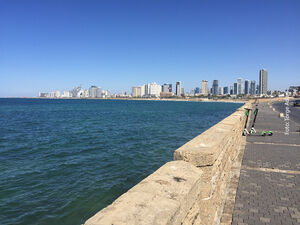 Der Blick auf Tel Avivs Skyline und den Strand. Foto: Torge Adam